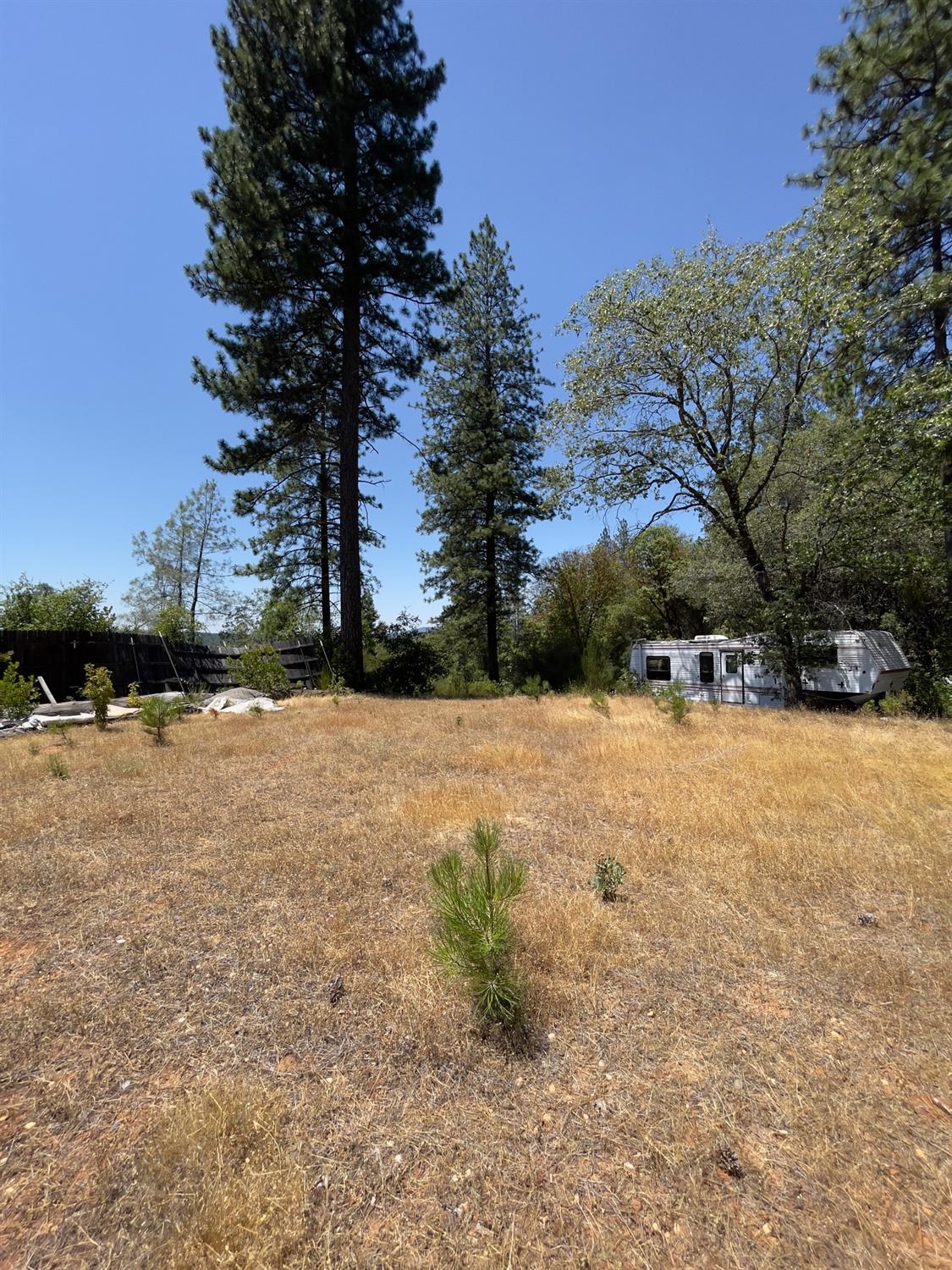 Detail Gallery Image 14 of 26 For 10874 Marysville Rd, Dobbins,  CA 95935 - – Beds | – Baths