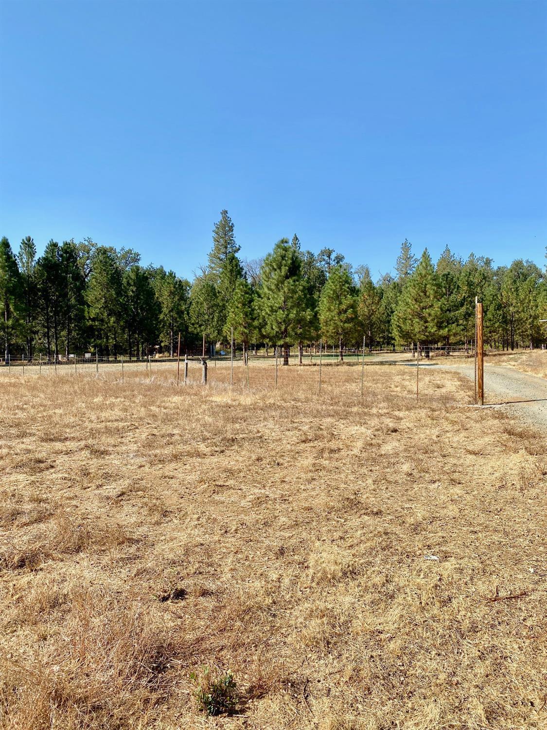 Yuba Ranch, Oregon House, California image 12