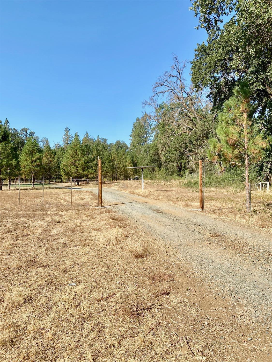 Yuba Ranch, Oregon House, California image 14