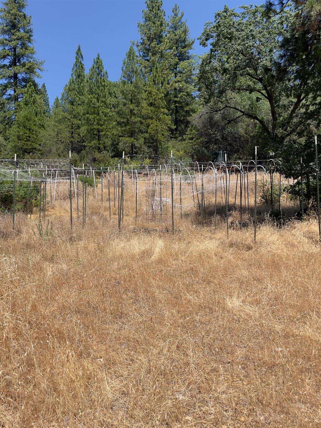 Detail Gallery Image 12 of 26 For 10874 Marysville Rd, Dobbins,  CA 95935 - – Beds | – Baths