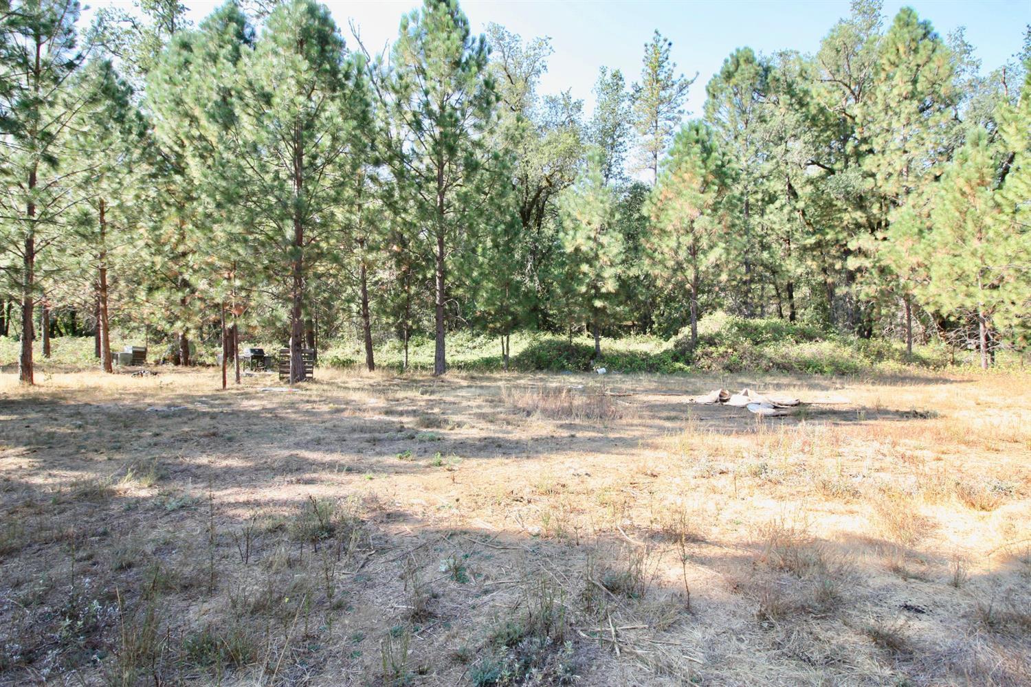 Yuba Ranch, Oregon House, California image 19