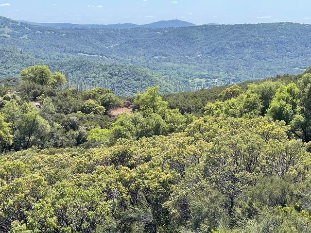 Detail Gallery Image 10 of 35 For 0 0 Sagebrush Rd, Garden Valley,  CA 95633 - – Beds | – Baths