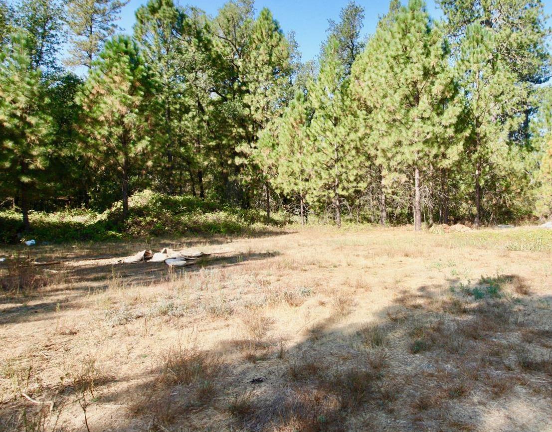 Yuba Ranch, Oregon House, California image 10