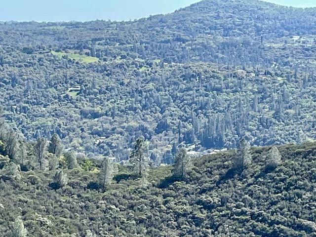 Detail Gallery Image 14 of 35 For 0 0 Sagebrush Rd, Garden Valley,  CA 95633 - – Beds | – Baths