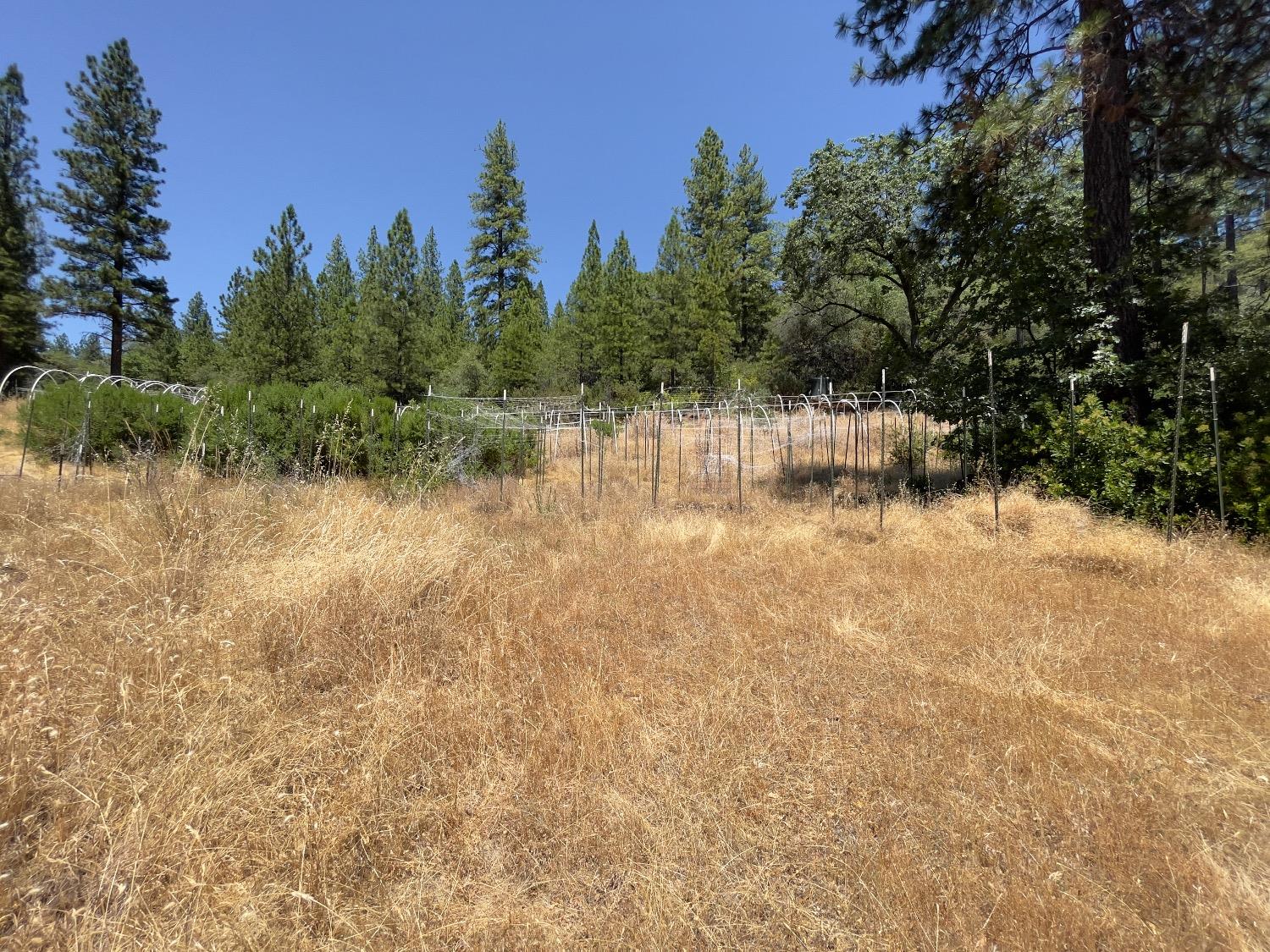 Detail Gallery Image 11 of 26 For 10874 Marysville Rd, Dobbins,  CA 95935 - – Beds | – Baths