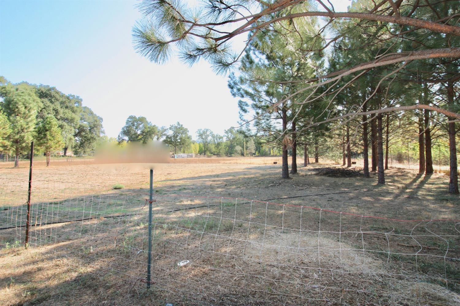 Yuba Ranch, Oregon House, California image 16