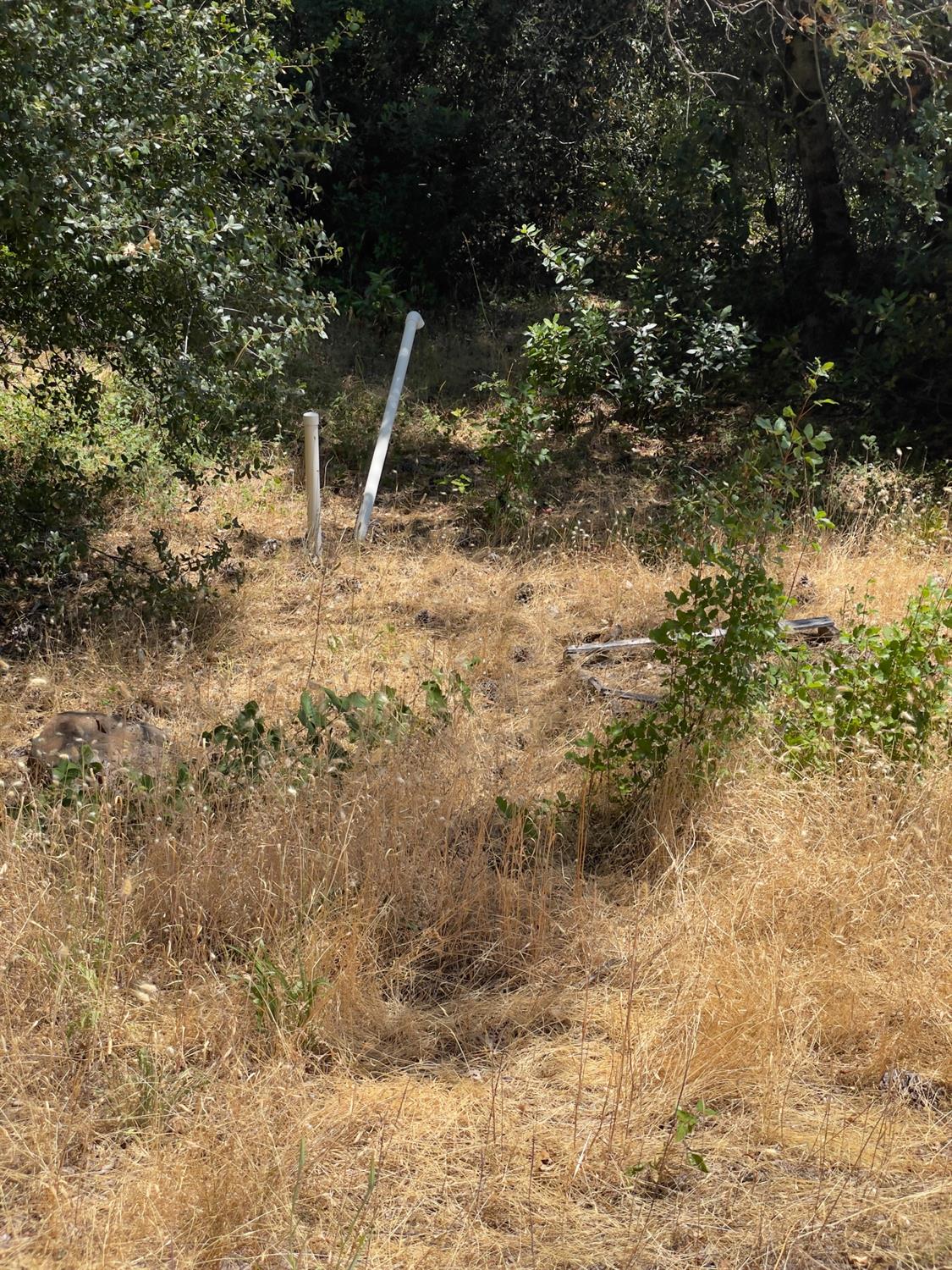Detail Gallery Image 16 of 26 For 10874 Marysville Rd, Dobbins,  CA 95935 - – Beds | – Baths