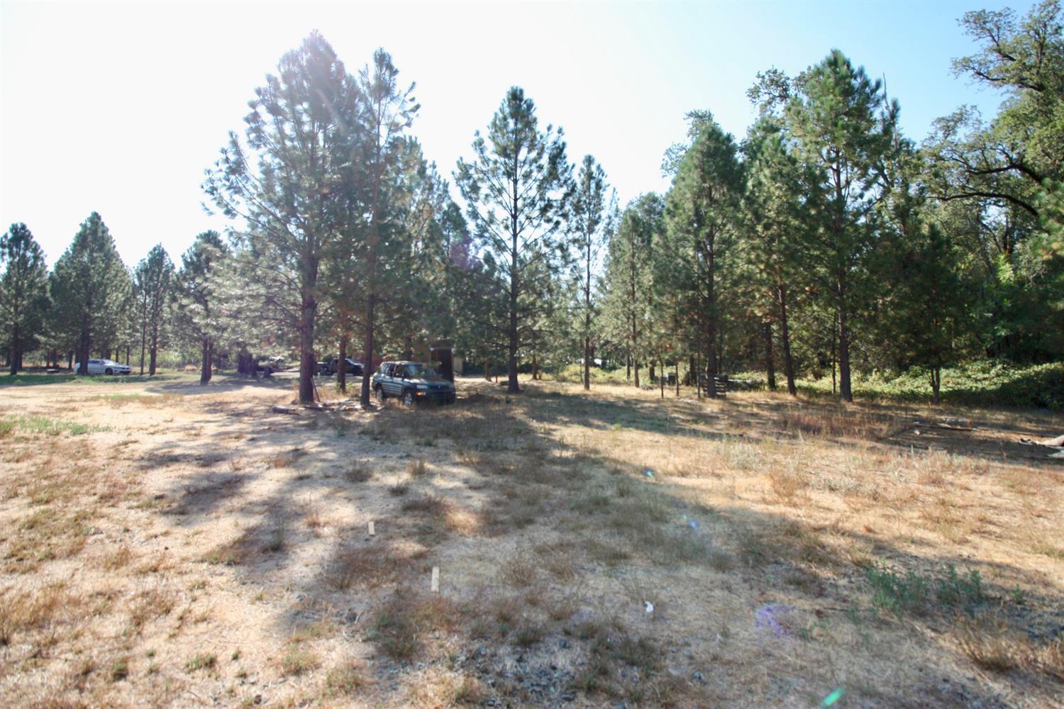 Yuba Ranch, Oregon House, California image 11