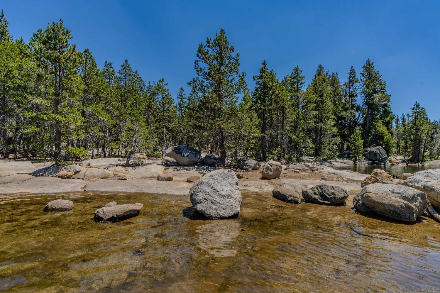 Detail Gallery Image 49 of 72 For 47390 State Highway 88, Pioneer,  CA 95666 - 2 Beds | 1/1 Baths