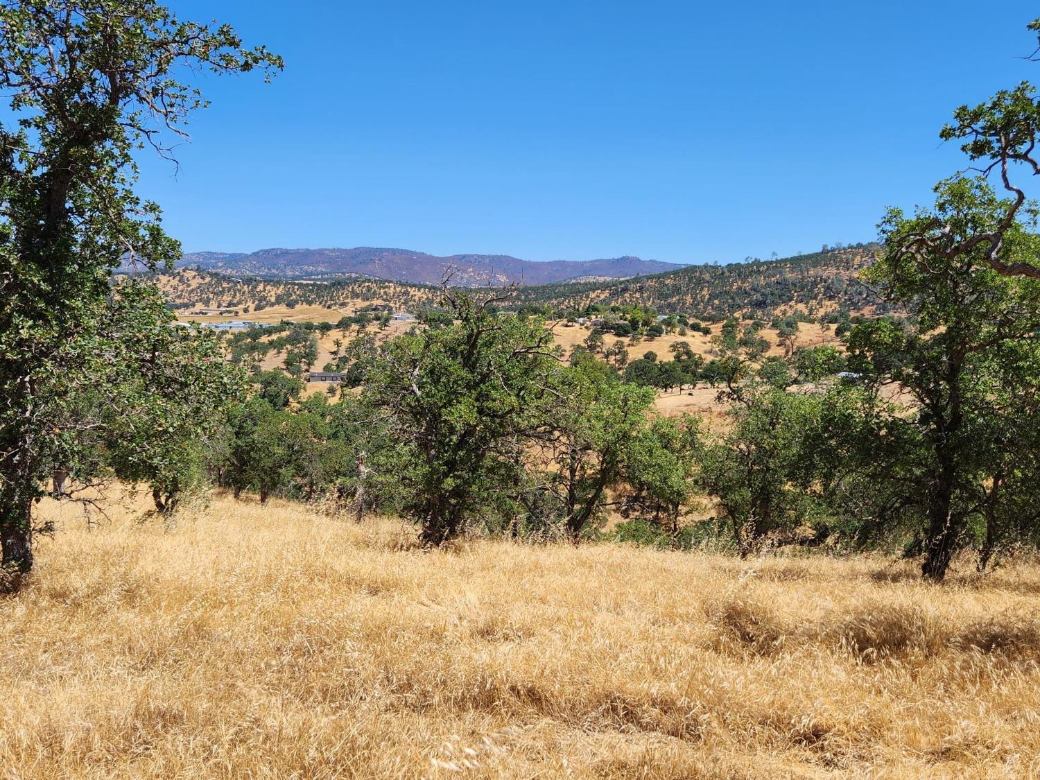 Penascal Road, La Grange, California image 3