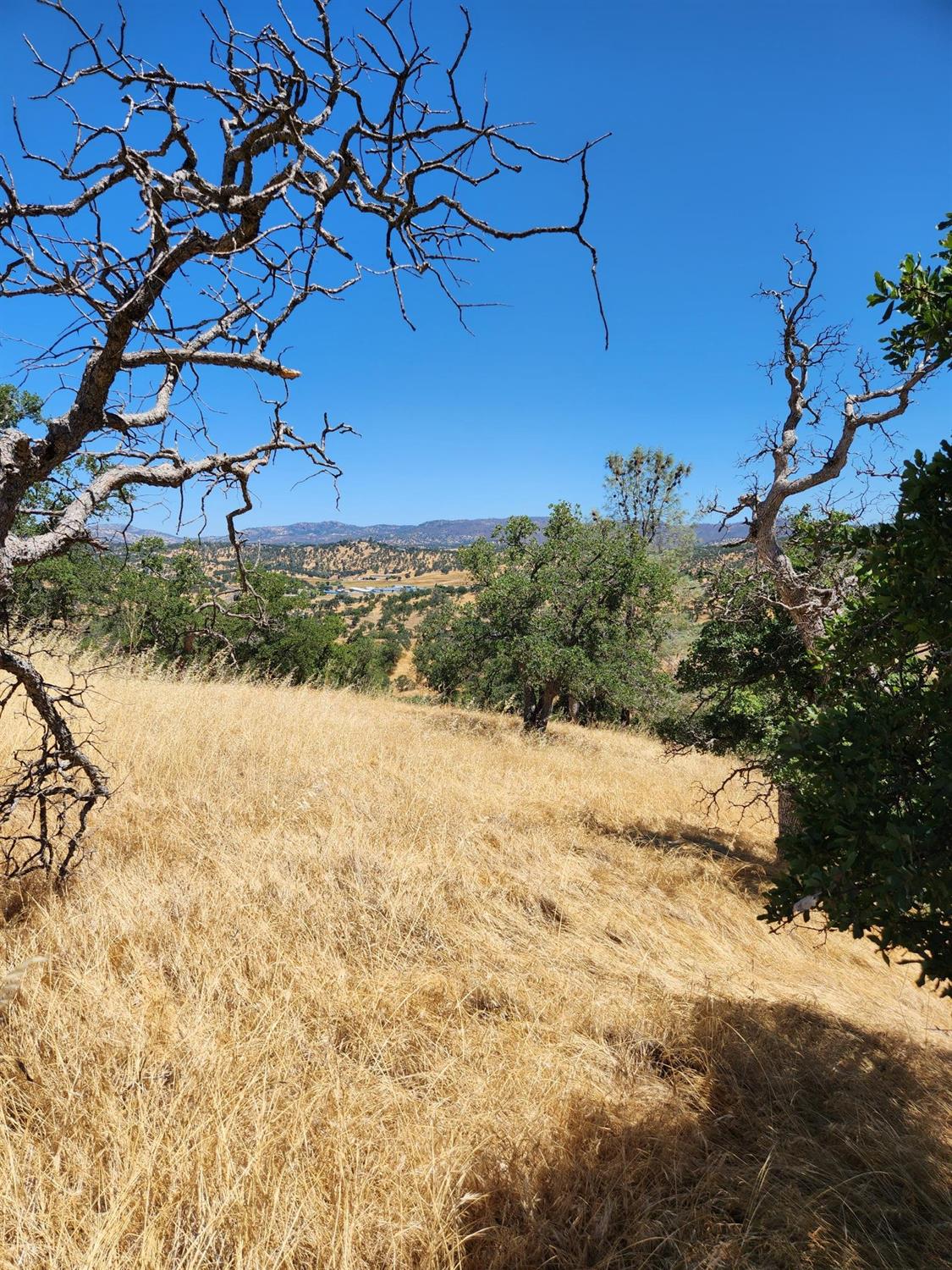 Penascal Road, La Grange, California image 7