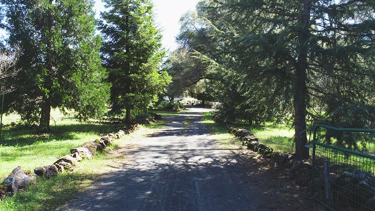 Trotter Road, Grass Valley, California image 7