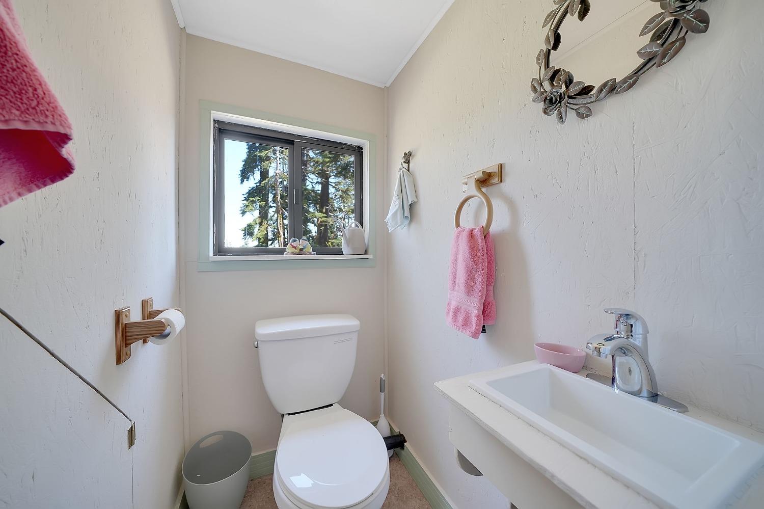 Detail Gallery Image 38 of 72 For 47390 State Highway 88, Pioneer,  CA 95666 - 2 Beds | 1/1 Baths