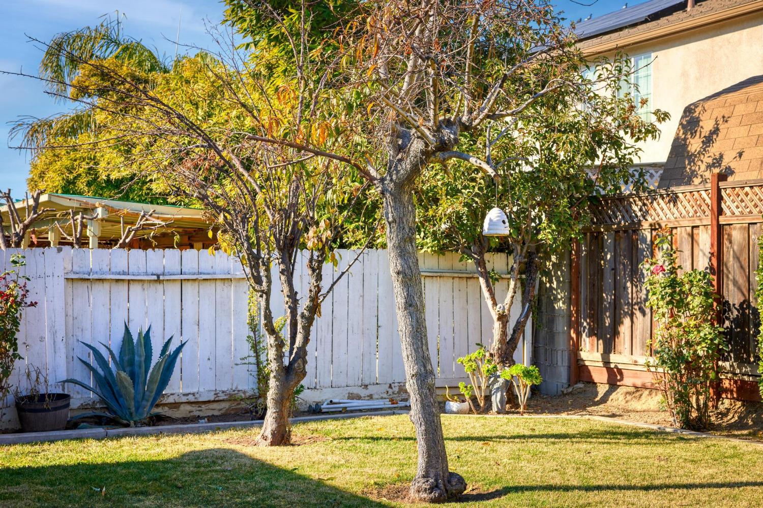 Sweetgum Lane, Newman, California image 29