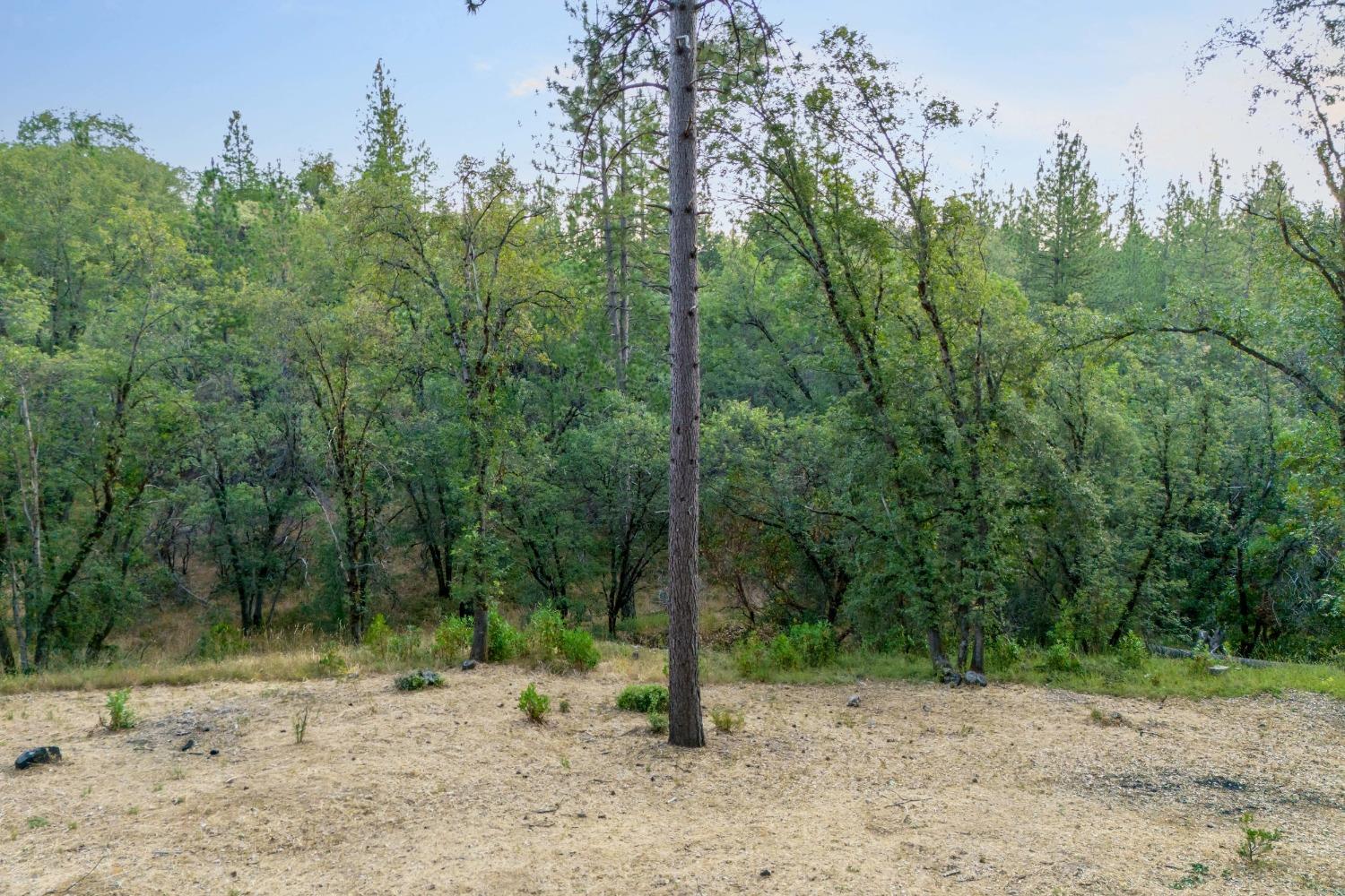 Detail Gallery Image 70 of 78 For 20391 New Rome Rd, Nevada City,  CA 95959 - 3 Beds | 3 Baths