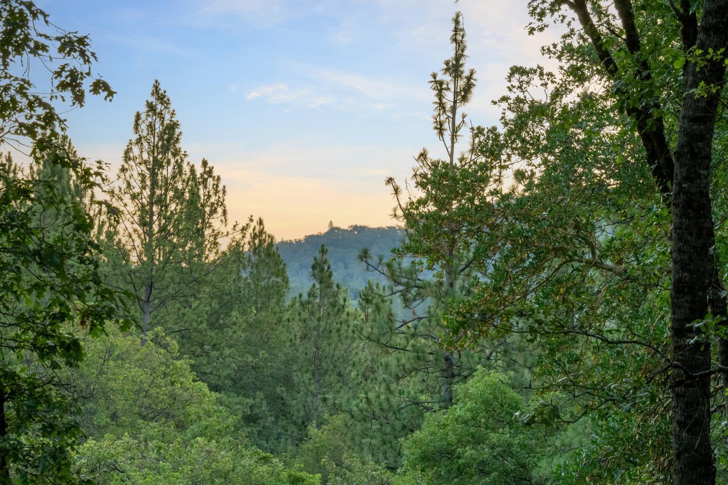 Detail Gallery Image 12 of 78 For 20391 New Rome Rd, Nevada City,  CA 95959 - 3 Beds | 3 Baths