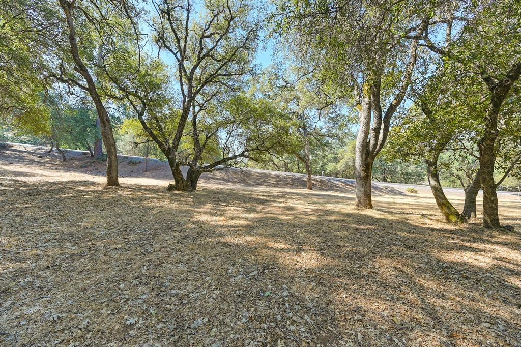 Detail Gallery Image 11 of 23 For 0 American River Trail, Cool,  CA 95614 - – Beds | – Baths