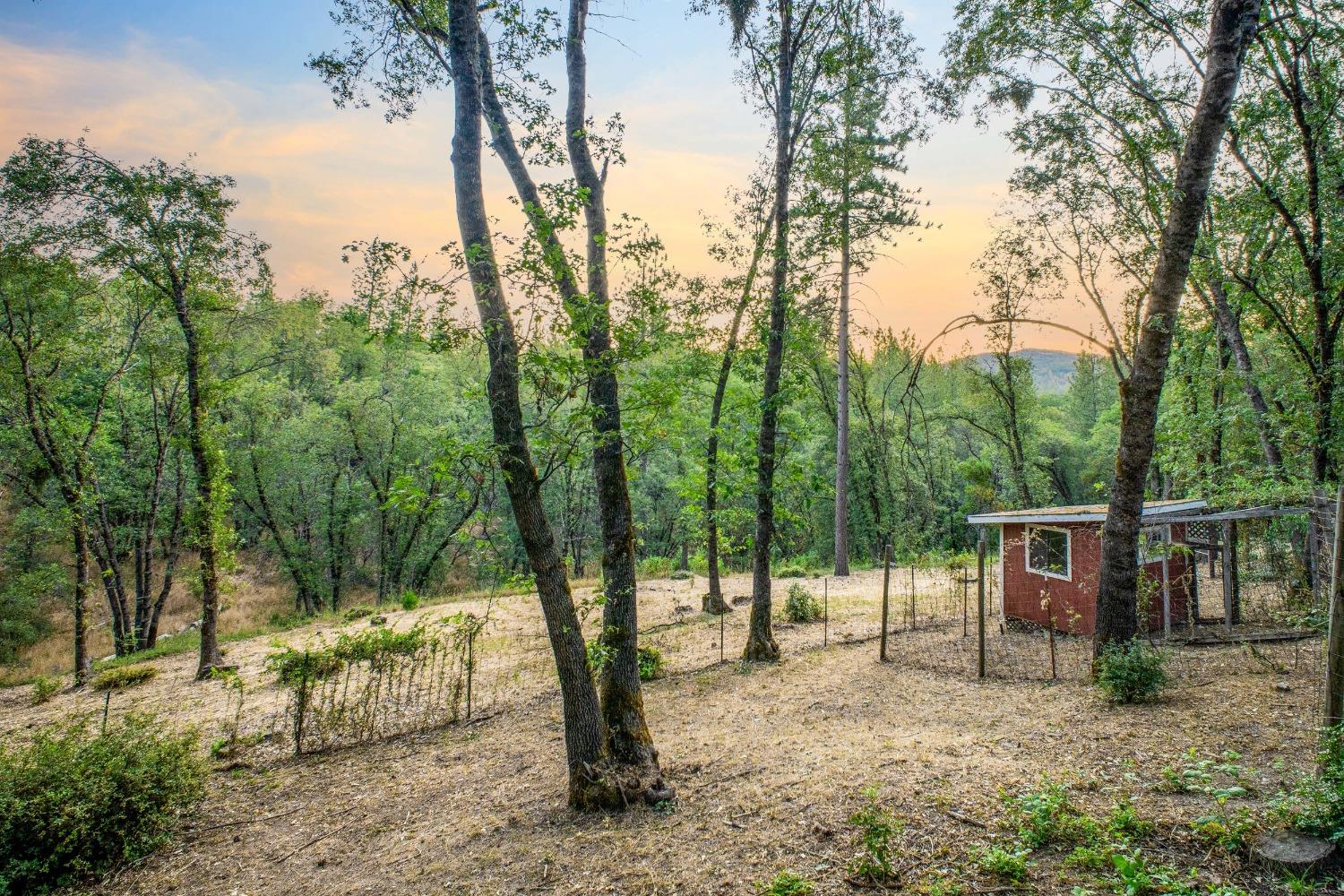 Detail Gallery Image 68 of 78 For 20391 New Rome Rd, Nevada City,  CA 95959 - 3 Beds | 3 Baths