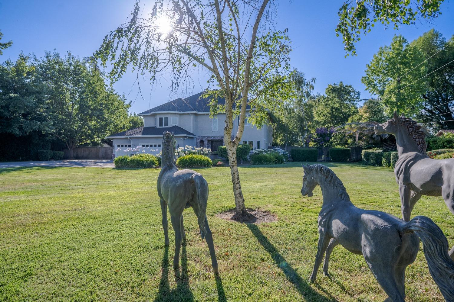 Detail Gallery Image 4 of 56 For 9711 Hildreth Ln, Stockton,  CA 95212 - 4 Beds | 3/1 Baths