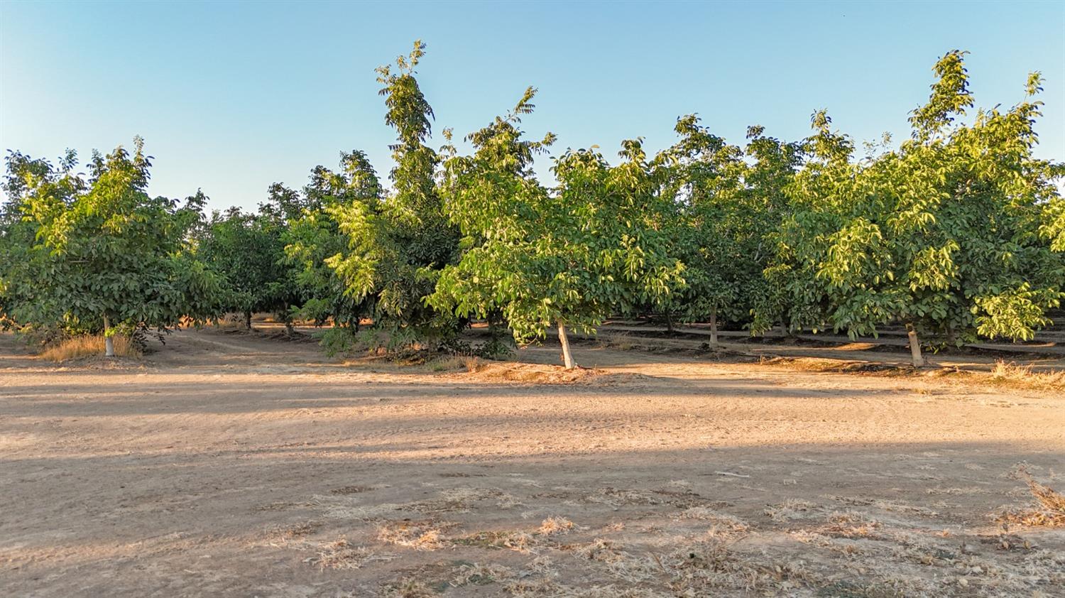 E Gerard, Merced, California image 7