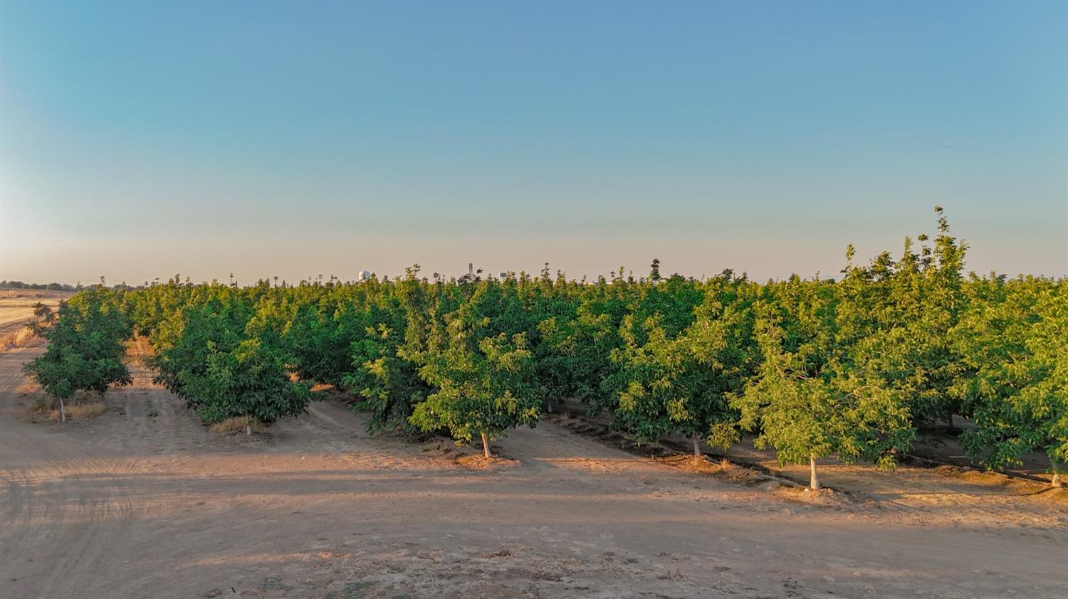 E Gerard, Merced, California image 8