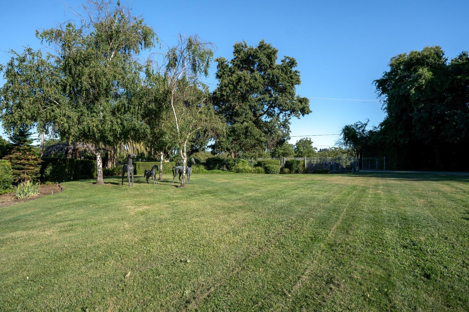 Detail Gallery Image 5 of 56 For 9711 Hildreth Ln, Stockton,  CA 95212 - 4 Beds | 3/1 Baths