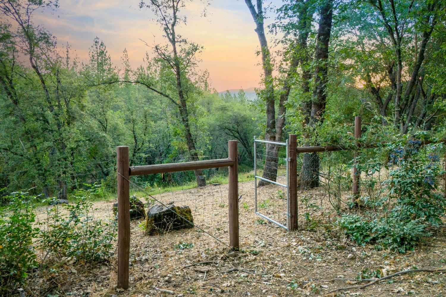 Detail Gallery Image 69 of 78 For 20391 New Rome Rd, Nevada City,  CA 95959 - 3 Beds | 3 Baths