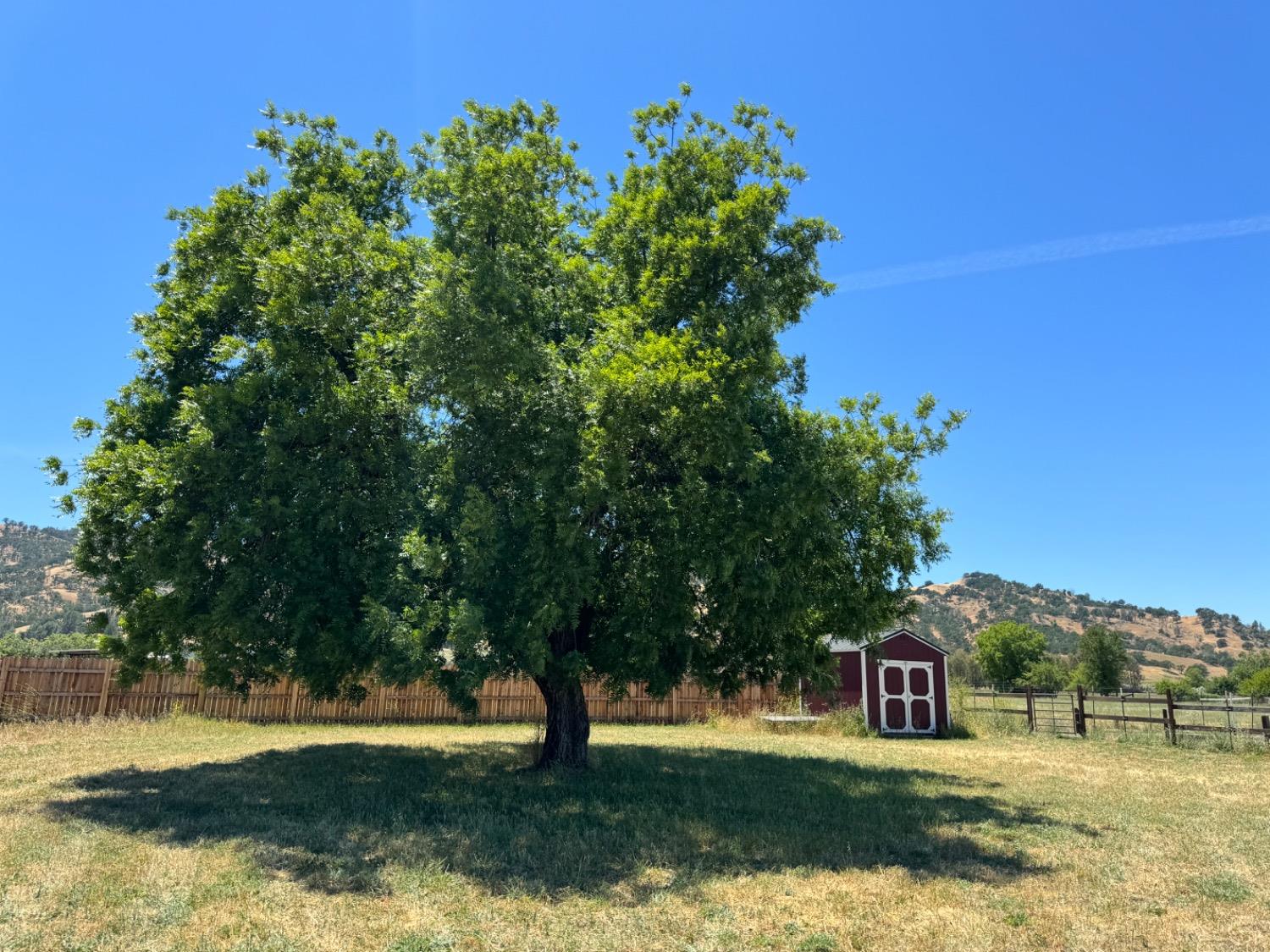 County Road 79a, Brooks, California image 6