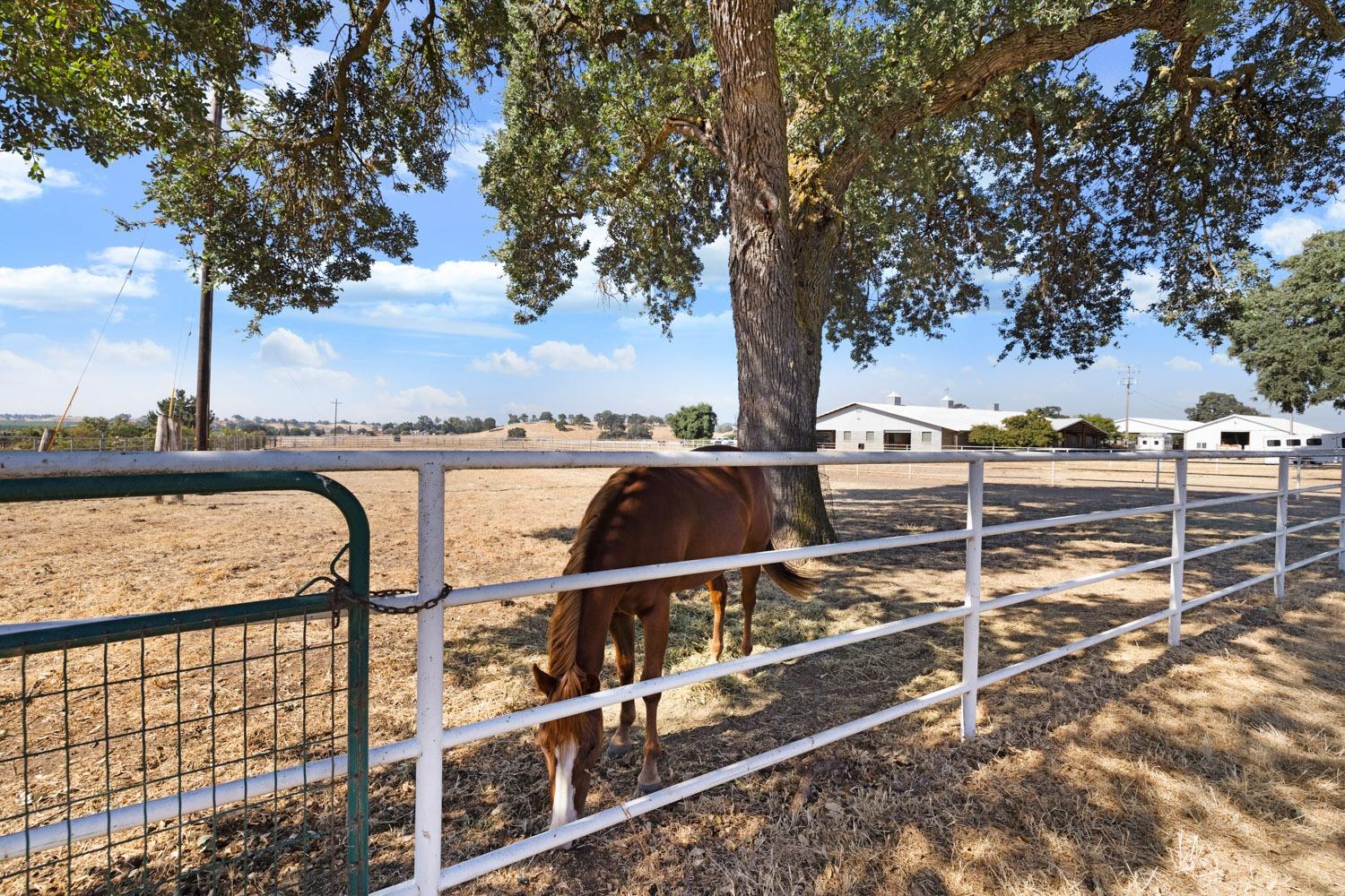 Detail Gallery Image 20 of 73 For 21773 E Ca-12, Clements,  CA 95227 - 3 Beds | 2 Baths