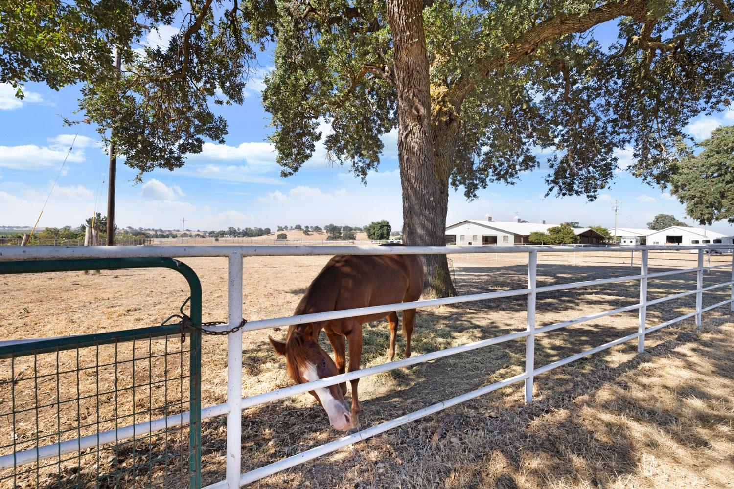 Detail Gallery Image 21 of 73 For 21773 E Ca-12, Clements,  CA 95227 - 3 Beds | 2 Baths