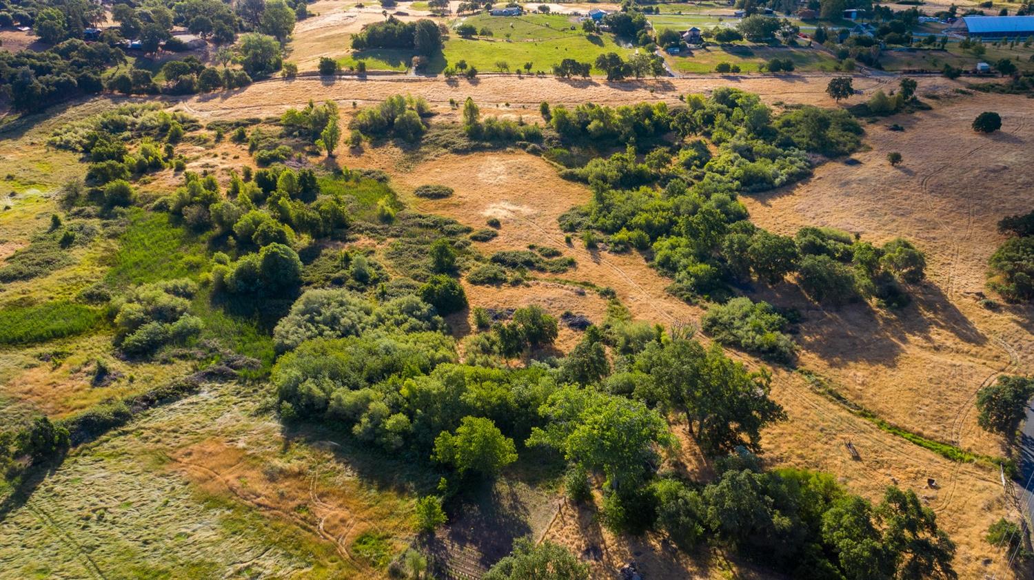 Wise Road, Auburn, California image 6