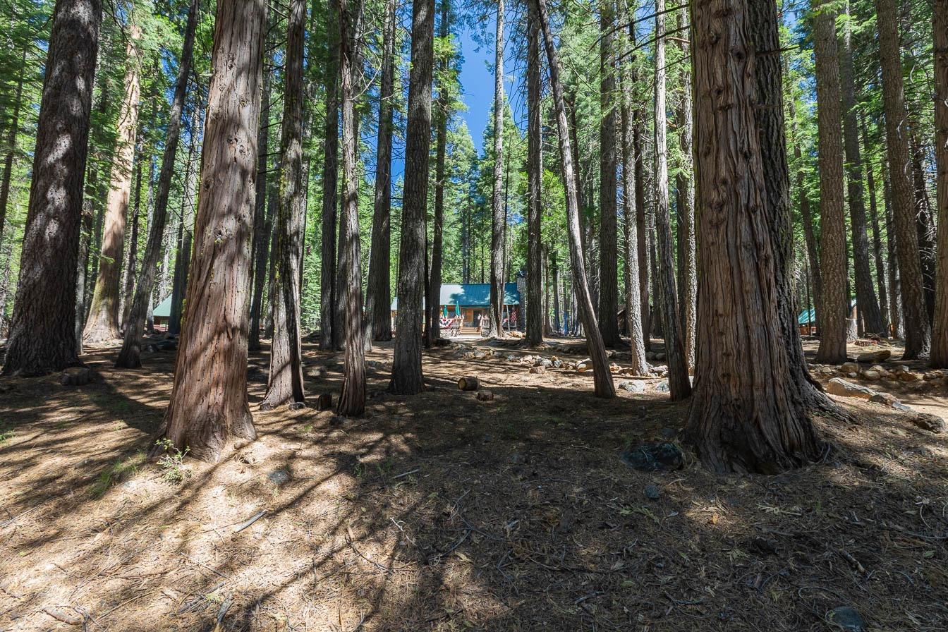 Birch Way, Mill Creek, California image 19