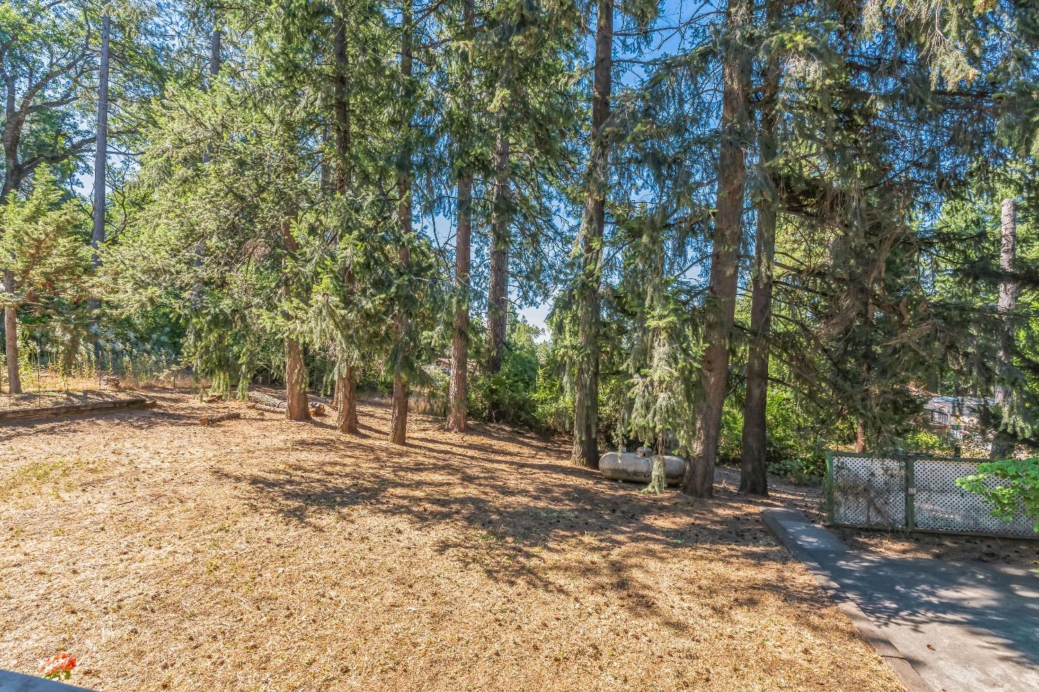 Detail Gallery Image 28 of 29 For 3080 Carson Rd, Placerville,  CA 95667 - 3 Beds | 2 Baths