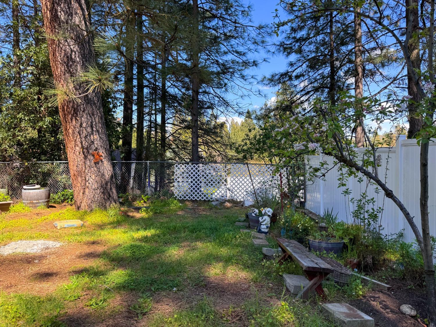 Cornwall Avenue, Grass Valley, California image 50