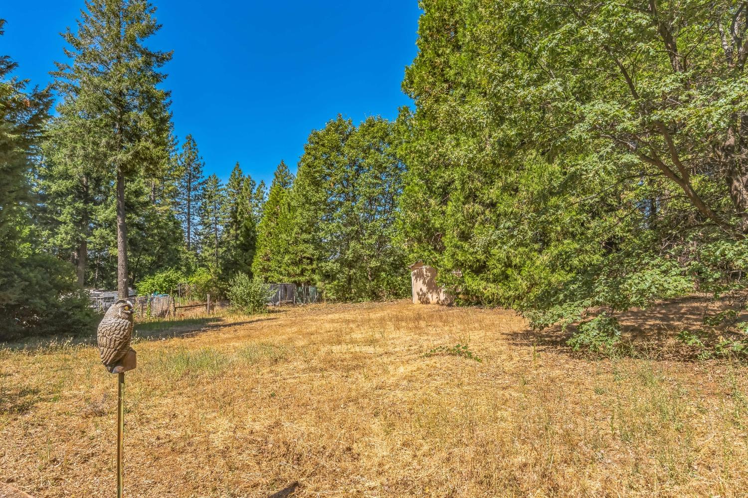 Detail Gallery Image 29 of 29 For 3080 Carson Rd, Placerville,  CA 95667 - 3 Beds | 2 Baths