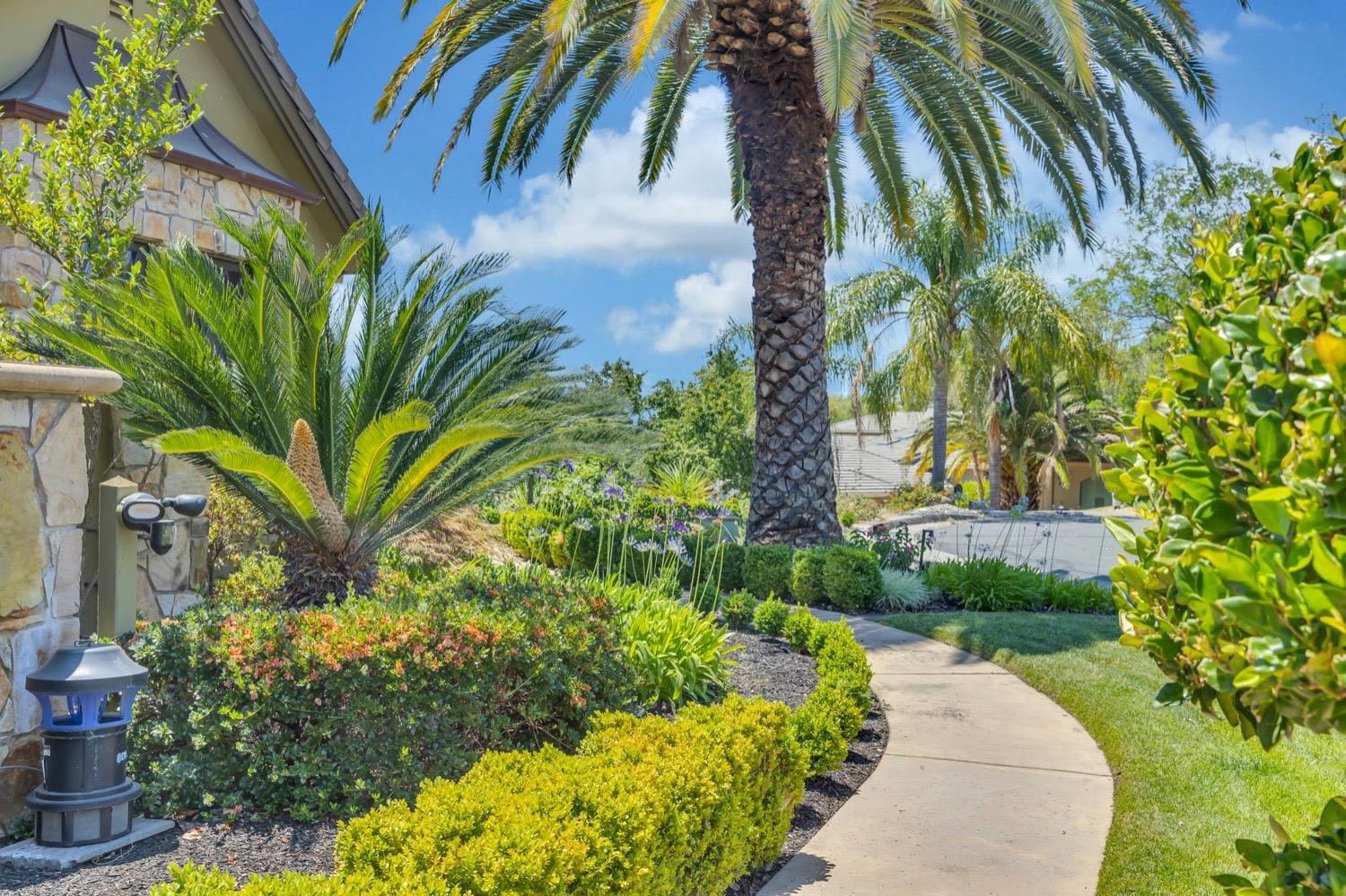 Clubhouse Court, Rocklin, California image 8