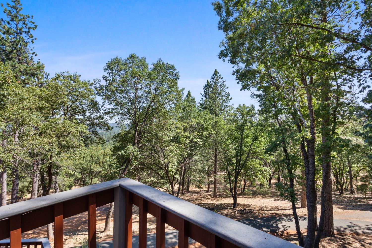 Detail Gallery Image 46 of 50 For 17878 River Ranch Rd, Grass Valley,  CA 95949 - 4 Beds | 3/1 Baths