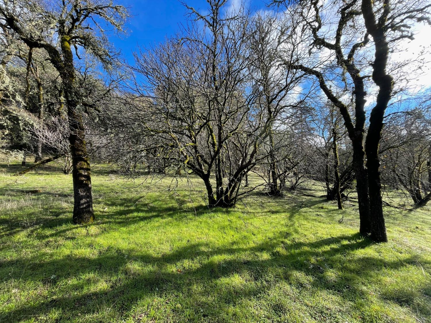 Detail Gallery Image 87 of 93 For 23189 Wild Iris Ln, Grass Valley,  CA 95949 - 4 Beds | 3/1 Baths