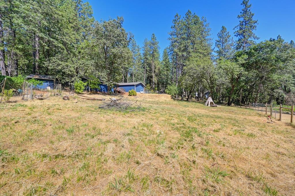 Rattlesnake Road, Grass Valley, California image 32
