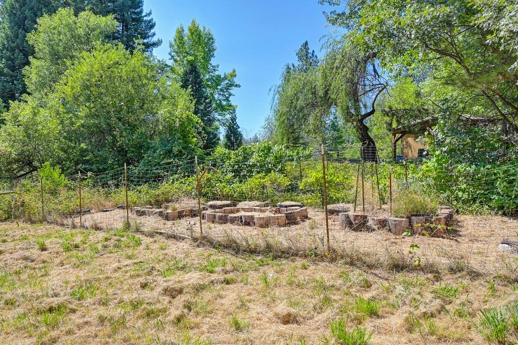 Rattlesnake Road, Grass Valley, California image 33