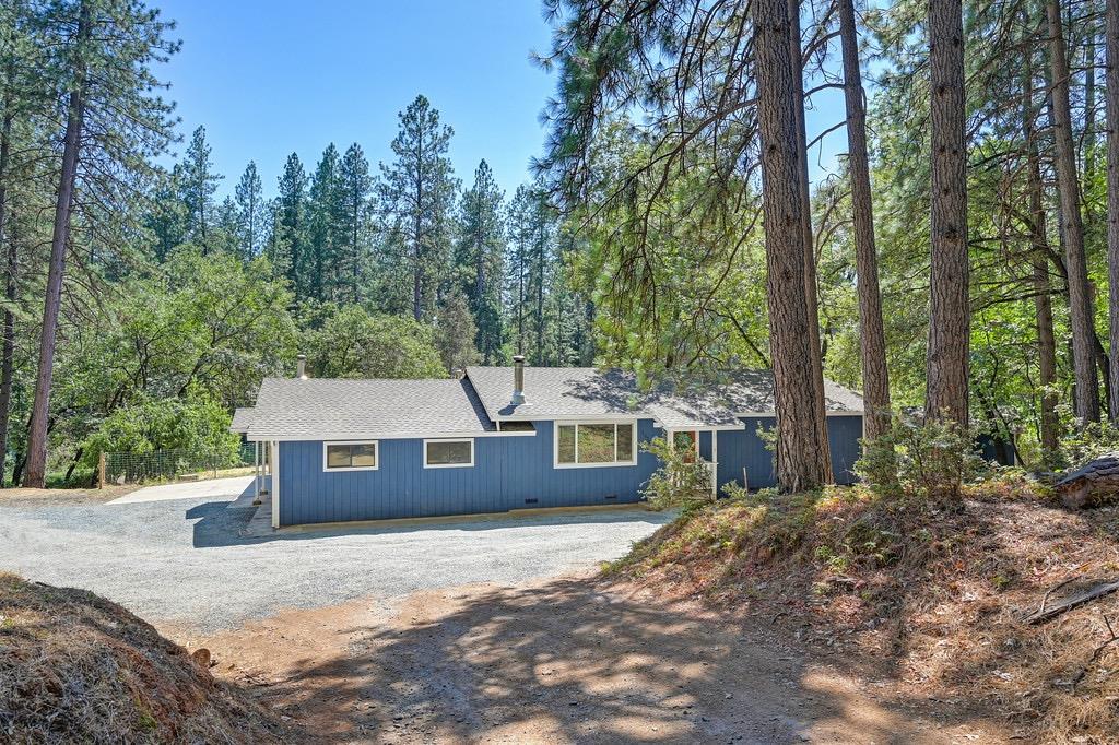 Rattlesnake Road, Grass Valley, California image 39