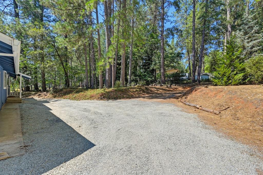 Rattlesnake Road, Grass Valley, California image 22