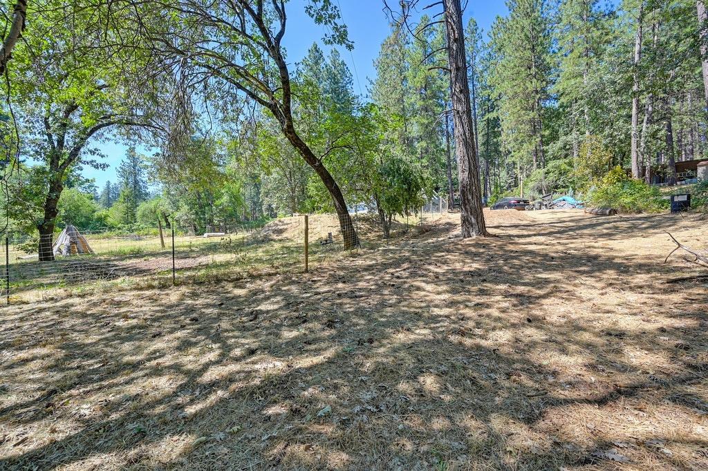 Rattlesnake Road, Grass Valley, California image 24