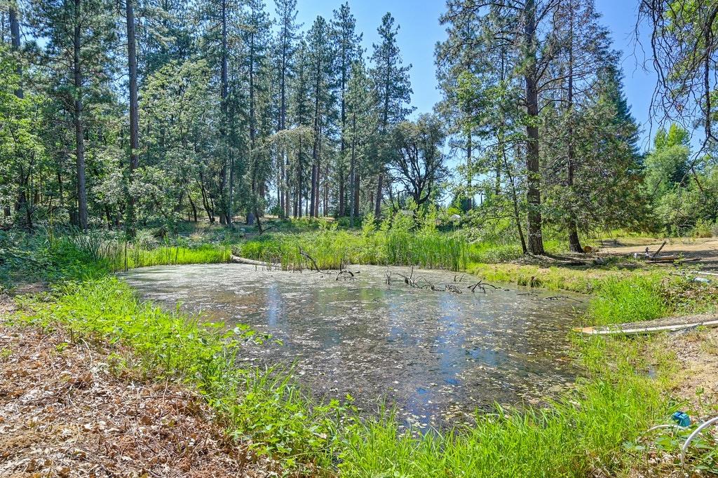 Rattlesnake Road, Grass Valley, California image 25