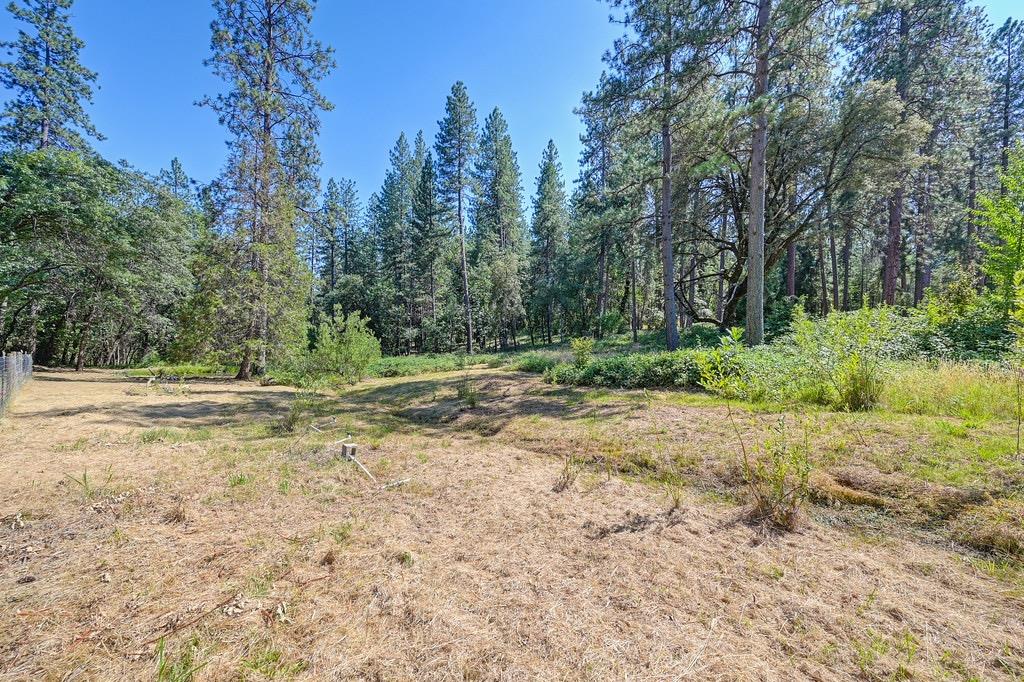 Rattlesnake Road, Grass Valley, California image 30