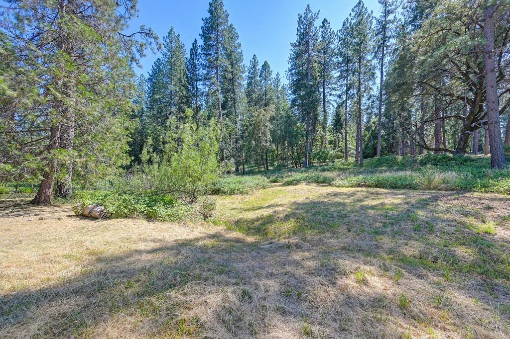 Rattlesnake Road, Grass Valley, California image 29