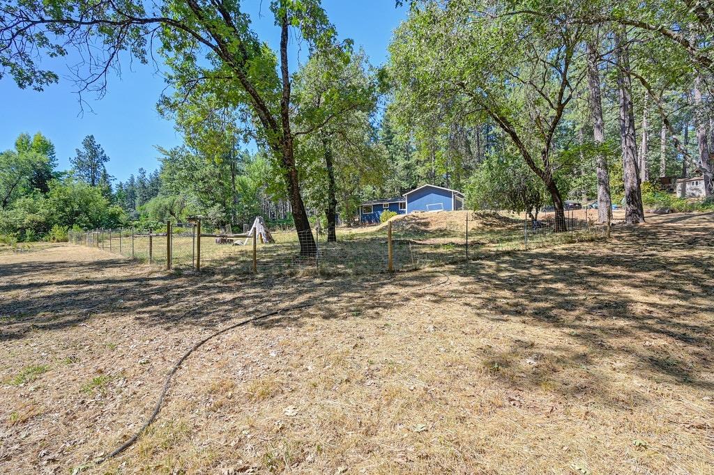 Rattlesnake Road, Grass Valley, California image 26