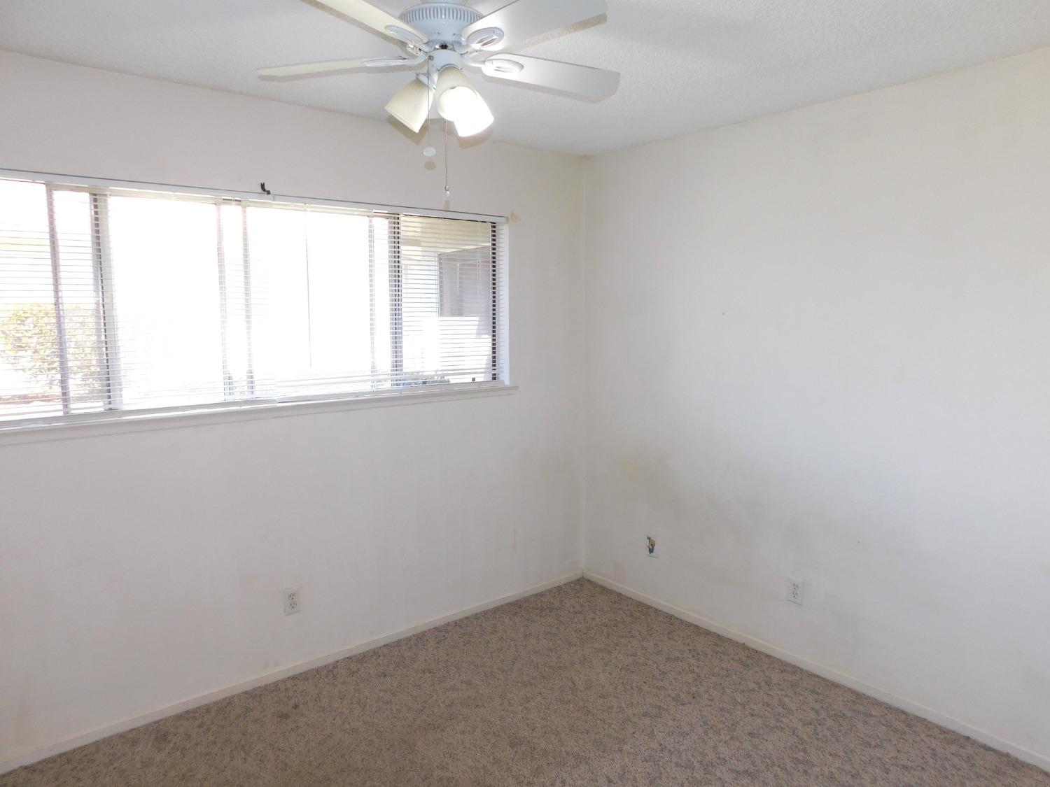 Photo #8: 224076574 Listing 