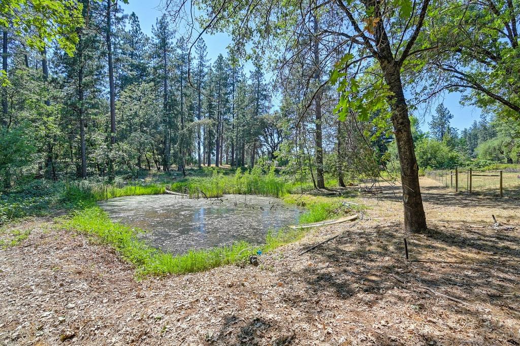 Rattlesnake Road, Grass Valley, California image 27
