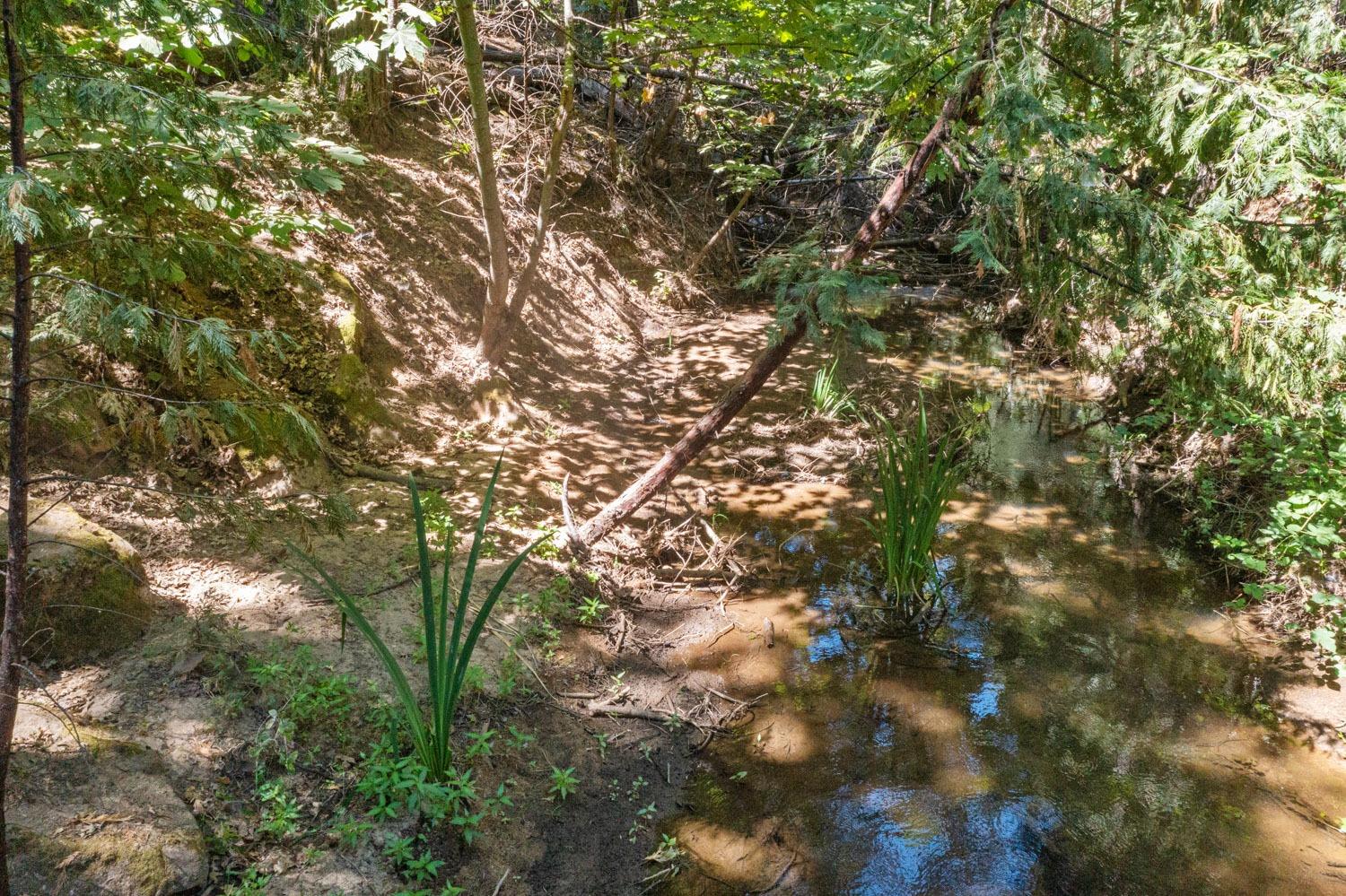 Smokey River, Sonora, California image 32